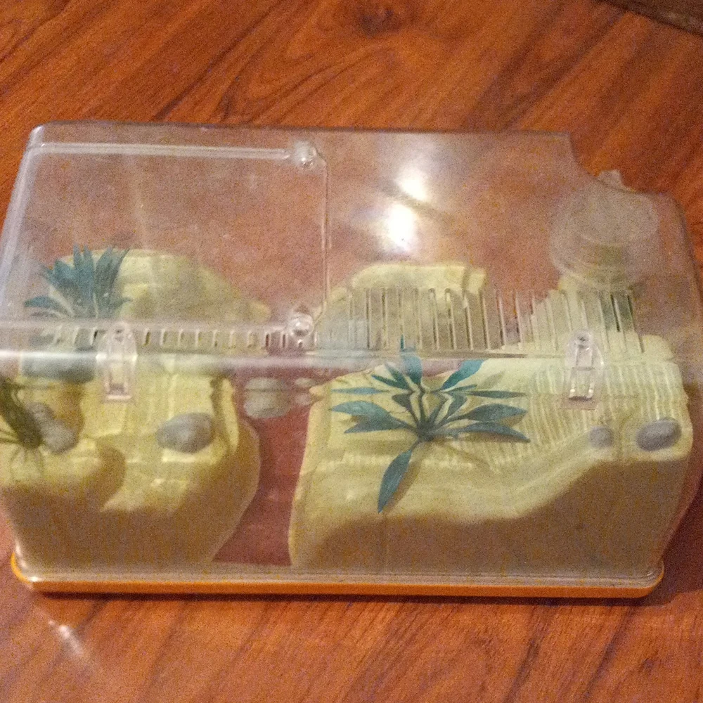 Reptiles cage & rocks 🪨